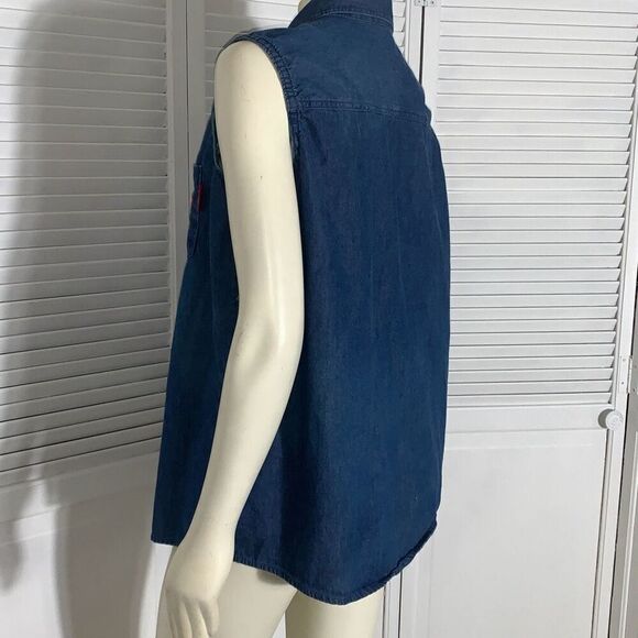 Tasmanian Devil Looney Tunes She-Devil Taz Flames Sleeveless Denim Button Top Wo - Picture 9 of 11